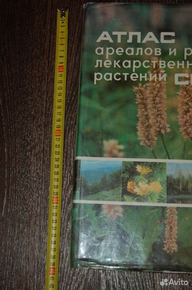 Атлас Лекарственных Растений Ссср 1962 Купить