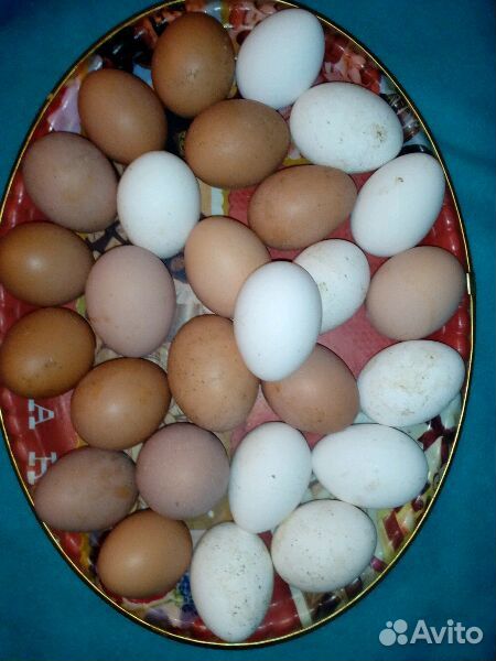 Яйцо деревенское, крупное купить на Зозу.ру - фотография № 1