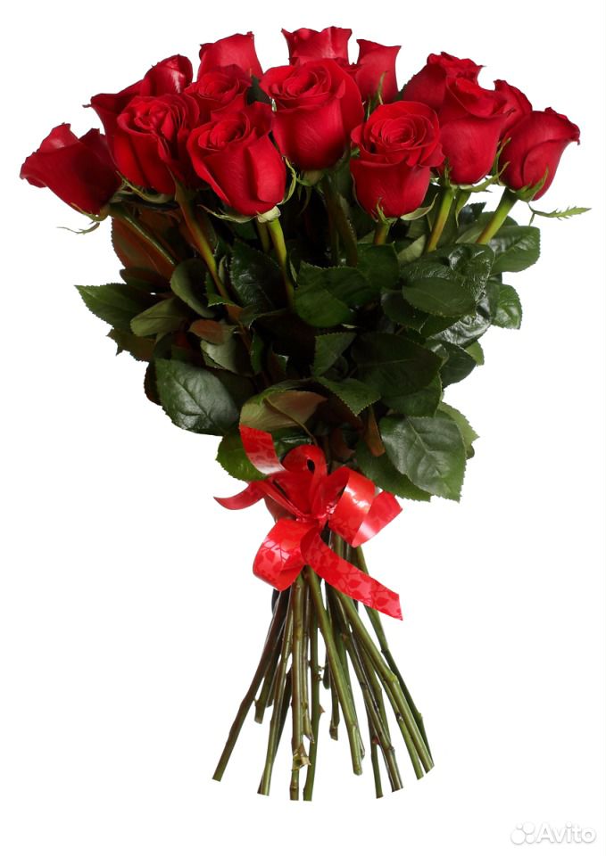 Цветы,Букет Роз,Роза от 99 р Архангельск,доставка купить на Зозу.ру - фотография № 5