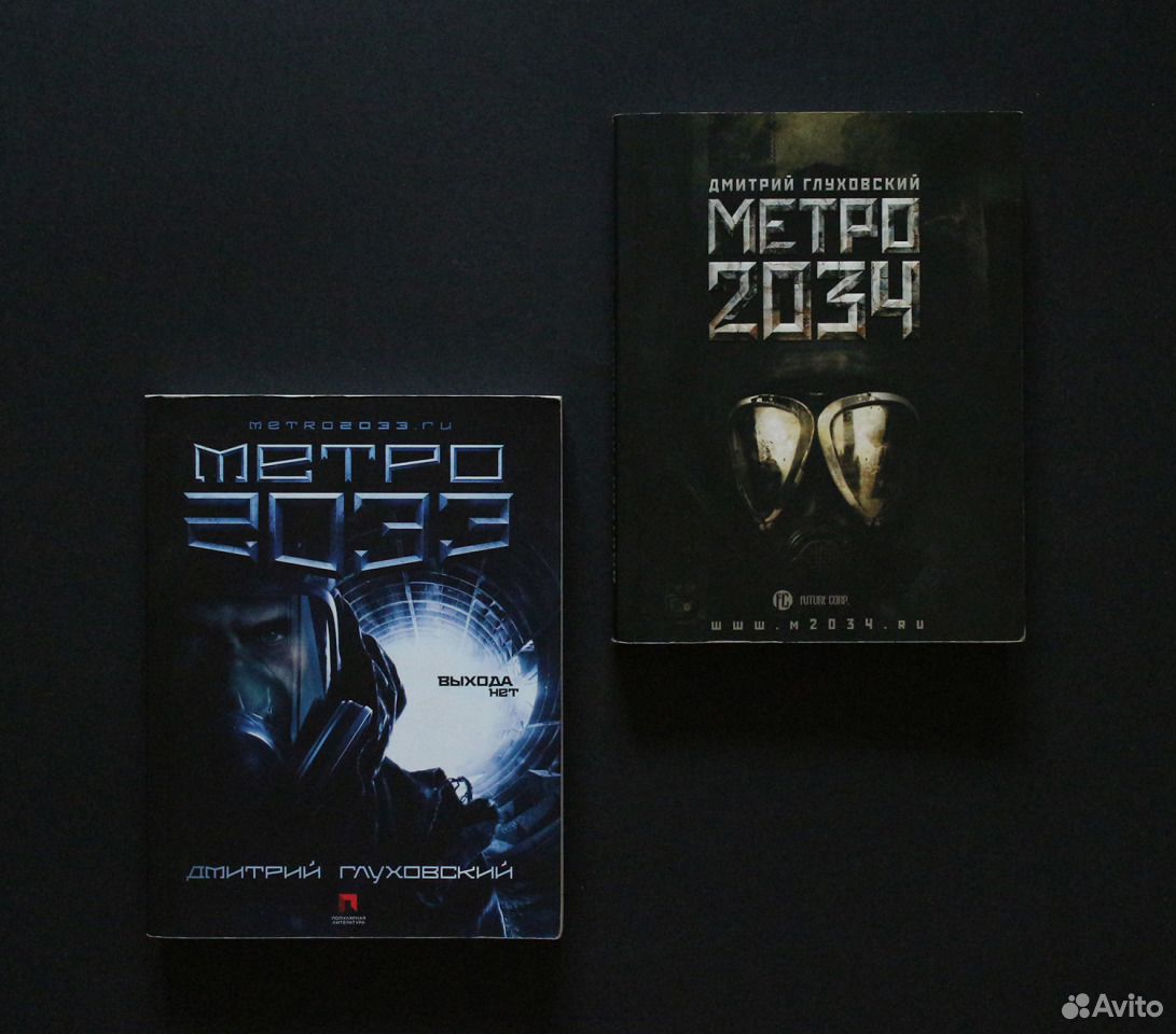 Метро 2034 книга.