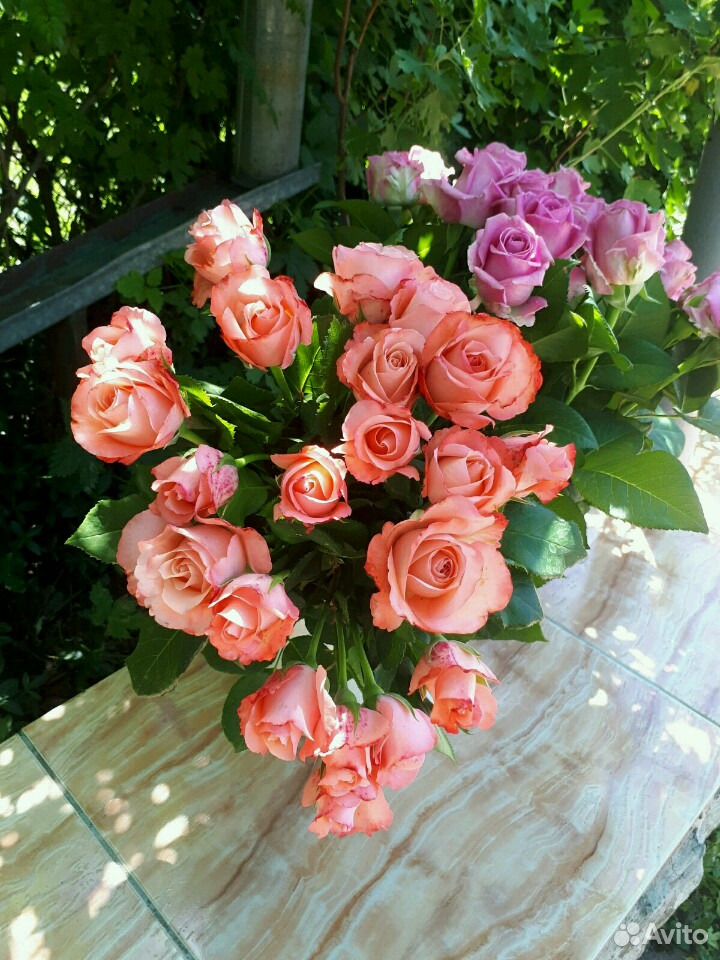 Розы Букеты 101 роза - 4000 тр купить на Зозу.ру - фотография № 7