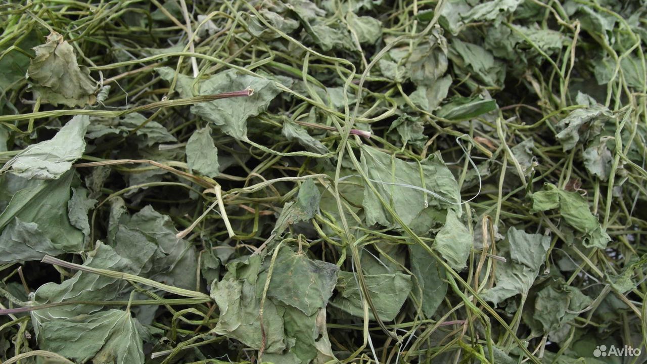 5 травяных и цветочных чаев, вес 2 кг, от Таканта купить на Зозу.ру - фотография № 4