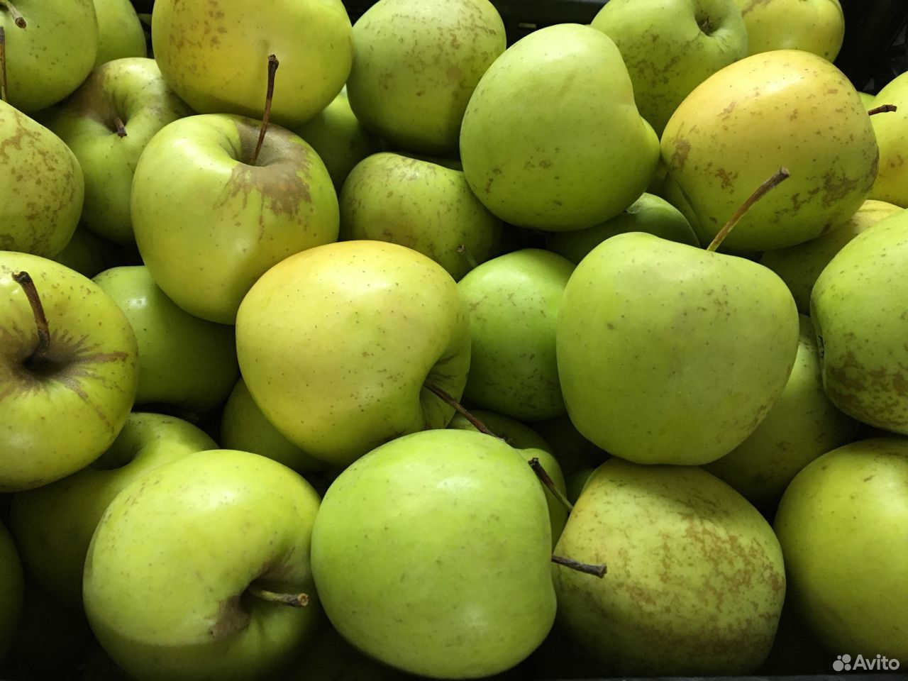 Мытые яблоки в индивидуальной упаковке купить на Зозу.ру - фотография № 2
