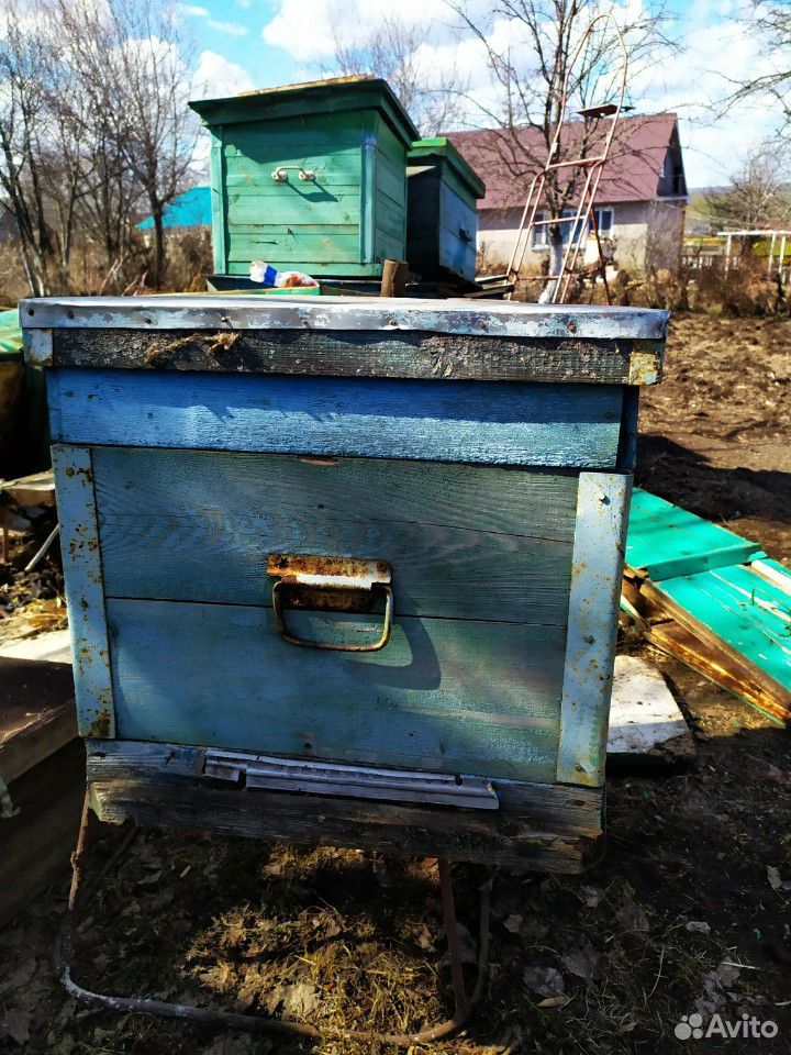 Улей пчелиный купить на Зозу.ру - фотография № 2