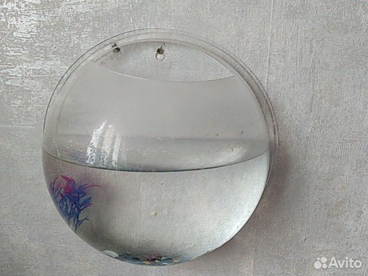Настенный аквариум купить на Зозу.ру - фотография № 1