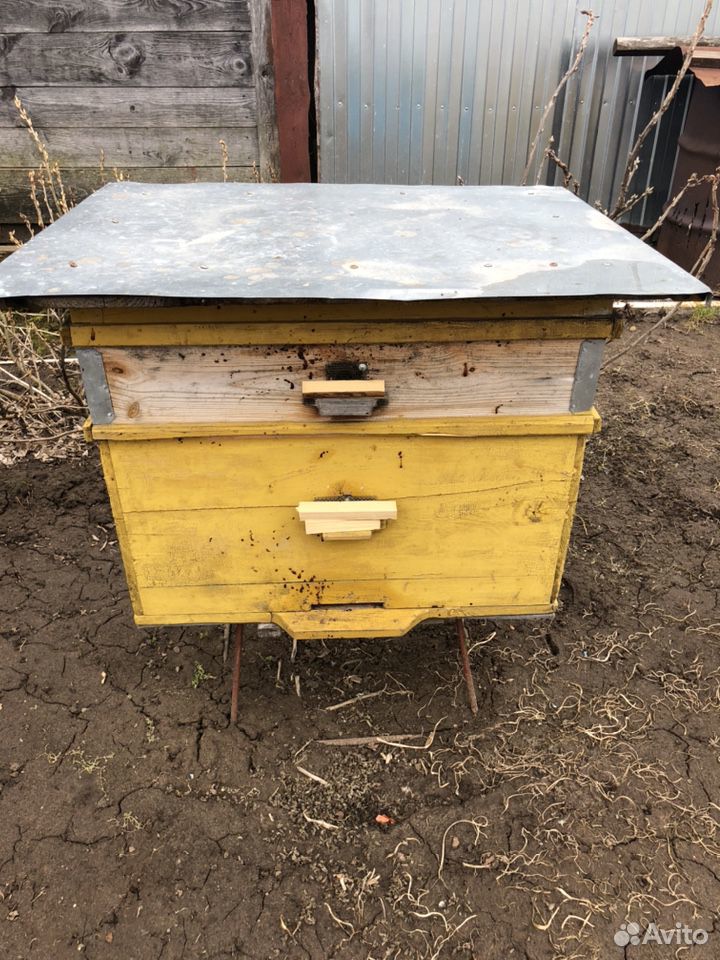 Продам ульи с пчёлами купить на Зозу.ру - фотография № 6