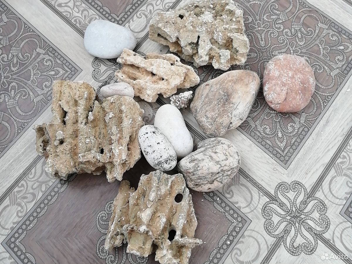 Продам камни для аквариума купить на Зозу.ру - фотография № 1