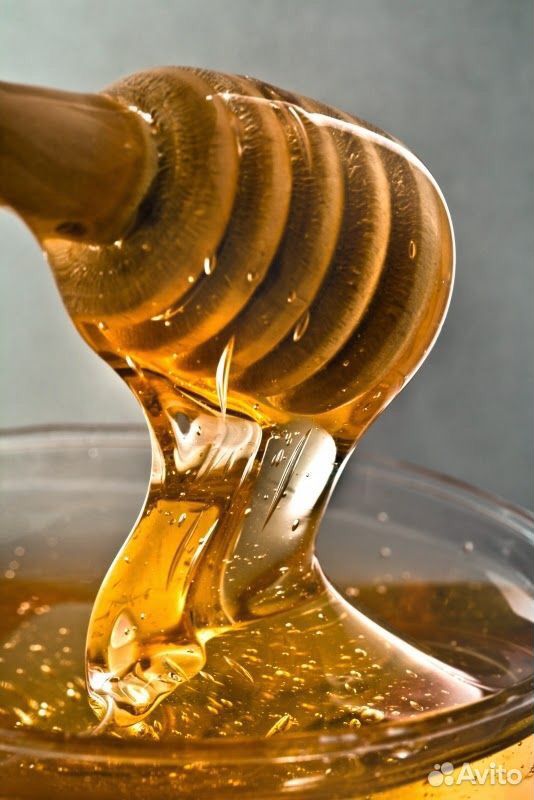 Пчёлы мёд ульи купить на Зозу.ру - фотография № 3
