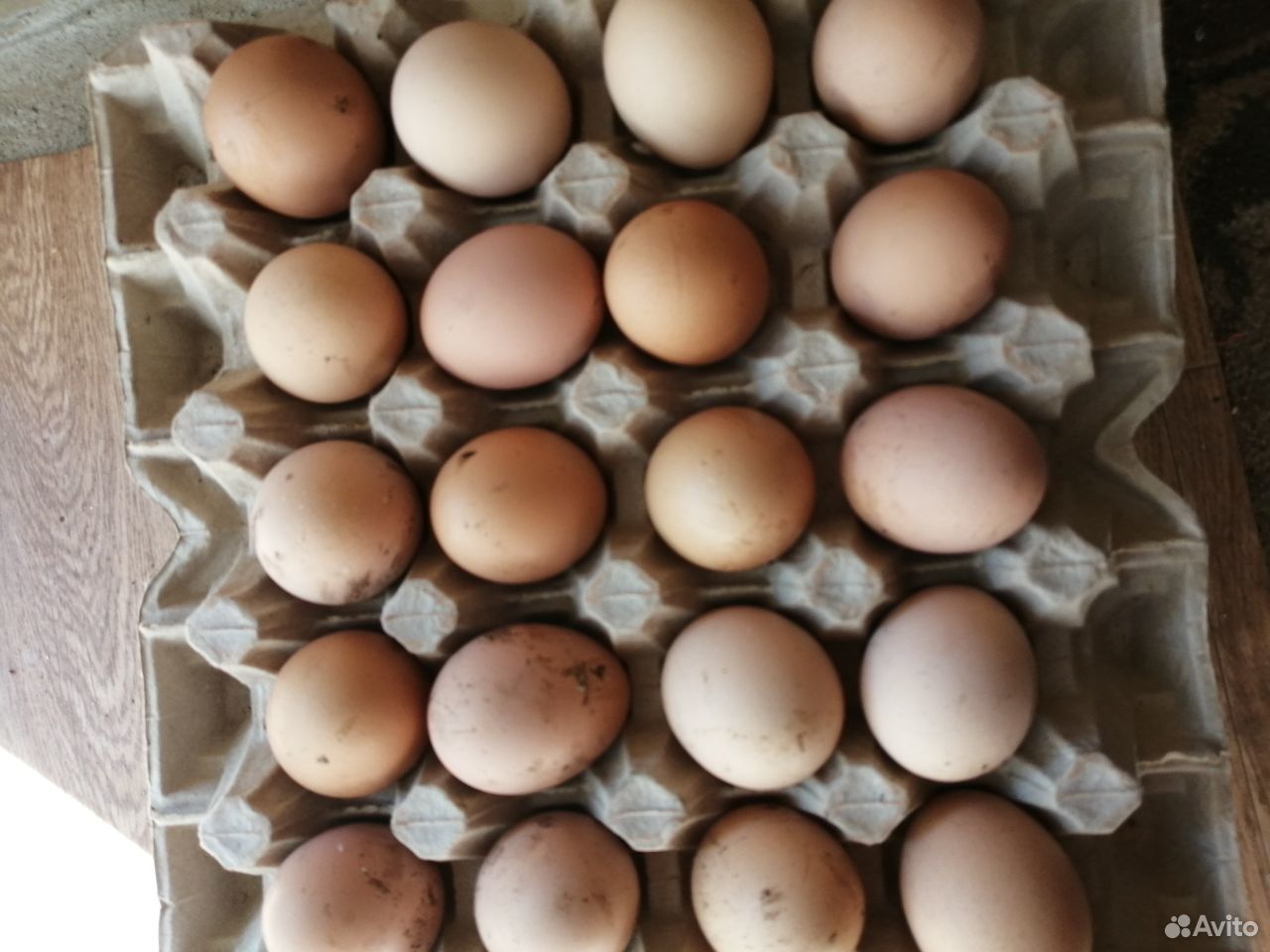Продам домашние яйцо купить на Зозу.ру - фотография № 2
