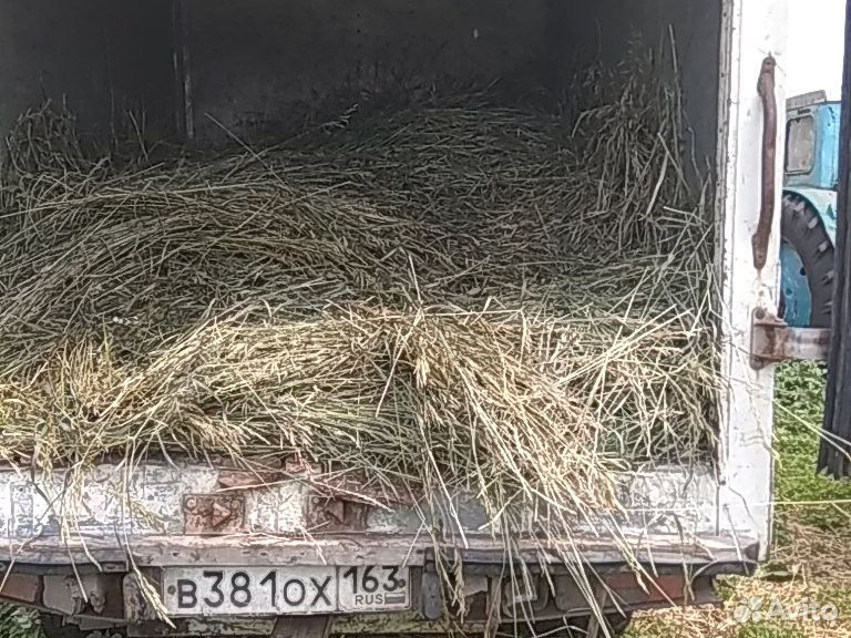 Трава и сено 2020 года в мешках купить на Зозу.ру - фотография № 2