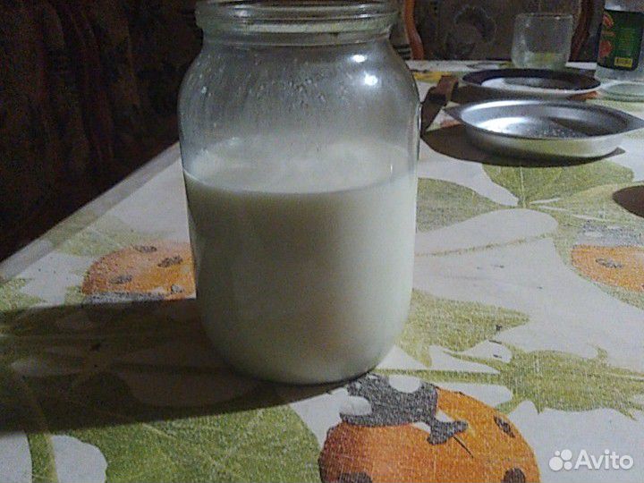 Продаётся козье молоко купить на Зозу.ру - фотография № 1