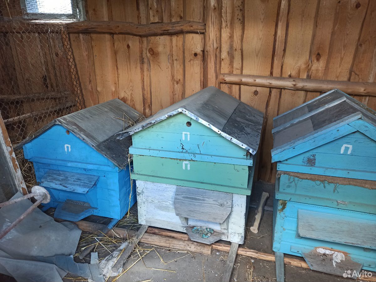 Домики для пчёл купить на Зозу.ру - фотография № 1