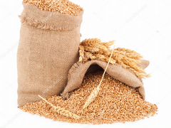 Зерно пшеница,ячмень