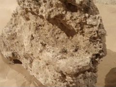 Коралл камень туф для аквариума и декора
