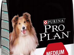 Pro plan medium