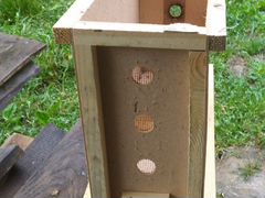 Ящик (тара) для пчелопакетов, Ловушка для роёв