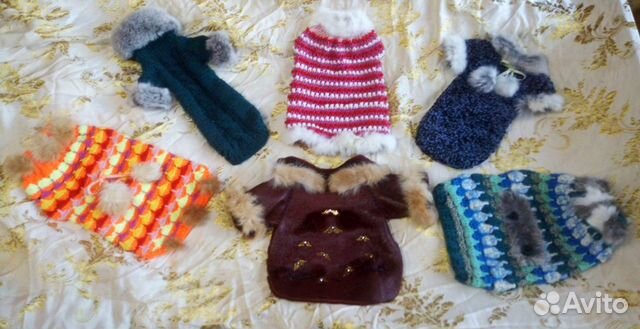 Одежда для животных, игрушки