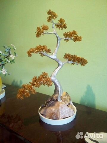 Деревья бонсай