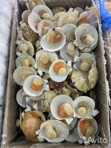 Морской гребешок филе