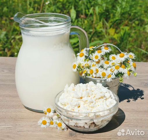 Молоко.сметана.творог.сыры