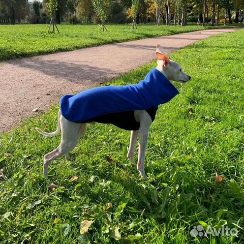 Кофты для собак