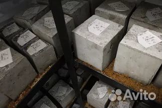 Бетон М 200 W3 П 4 усиленный Бетон М 200 W3 П 4 усиленный