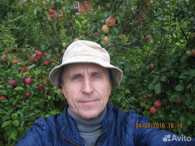 Прививка. Обрезка плодовых деревьев