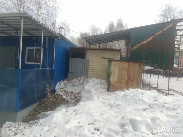 лодочная база чайка в новосибирске лодочная база чайка в новосибирске