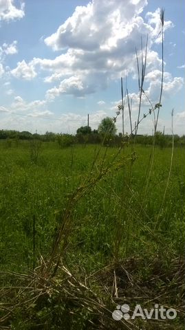 Участок 8 сот. (ИЖС) Участок 8 сот. (ИЖС)