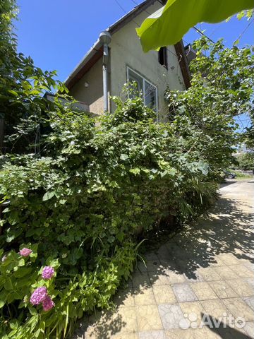 

1-к. квартира, 24 м², 2 кровати