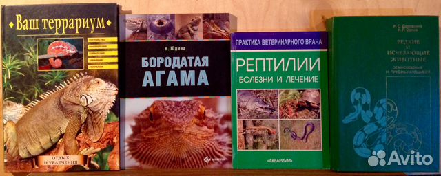Ваш террариум Ваш террариум