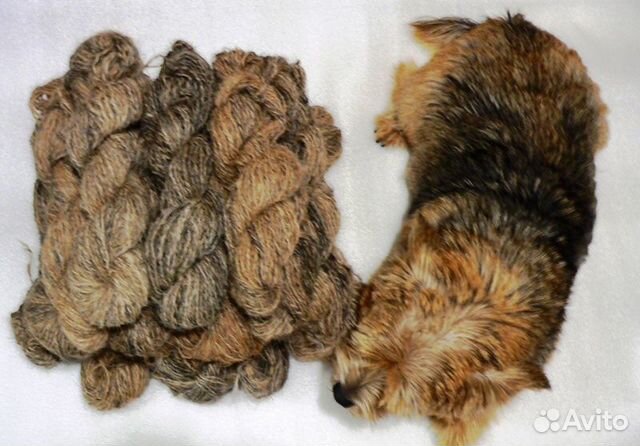Пряжа из собачей шерсти Пряжа из собачей шерсти