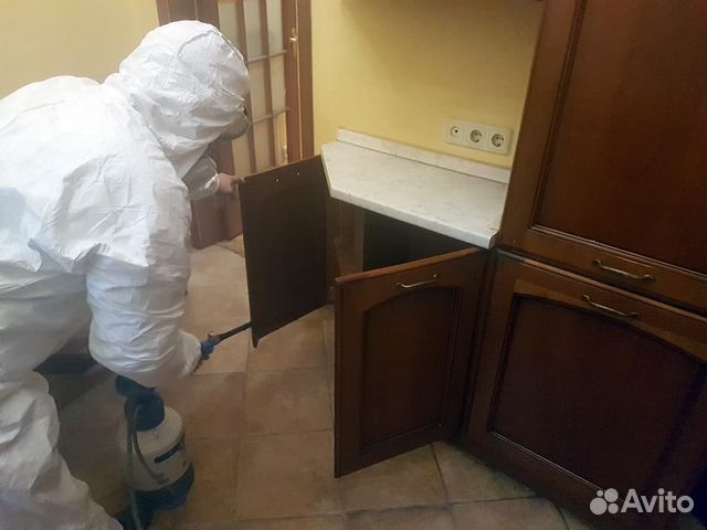 Уничтожение клопов,тараканов,крыс,блох,плесени Уничтожение клопов,тараканов,крыс,блох,плесени