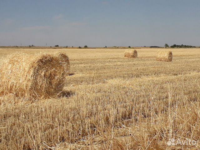 Пшеничная салома купить на Зозу.ру - фотография № 5