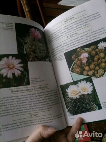 Книги (рукоделие, растения) Книги (рукоделие, растения)