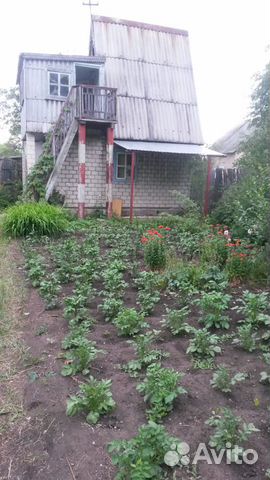 Дача южноуральск. Южноуральск дача. СНТ ремонтник Магнитогорск. СНТ ремонтник Ставрополь. Авито Южноуральск недвижимость дома.