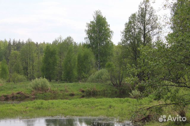 Деревня Непейцино Владимирская Область Судогодский Район Фото