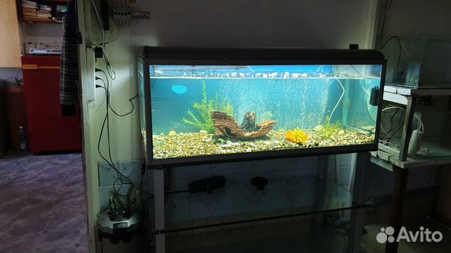 Продам аквариум и всё необходимое к нему купить на Зозу.ру - фотография № 9
