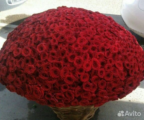 Роза 50см Ред Наоми.Премиум. Доставка. 24ч