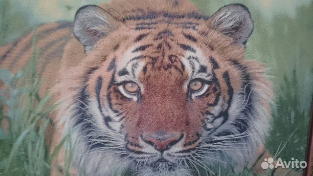 Тигр картина гобелен 89023868491 купить 2