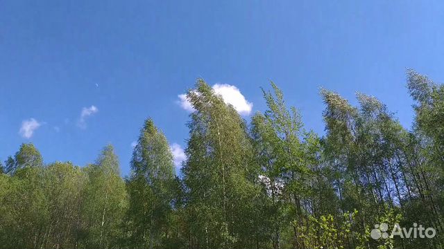 Участок 7 сот. (ИЖС) Участок 7 сот. (ИЖС)