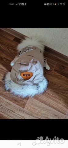 Комбинезон для маленькой собачки(зимний) Комбинезон для маленькой собачки(зимний)