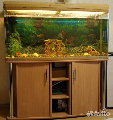 Продам аквариум Jebo r3126kg купить на Зозу.ру - фотография № 1