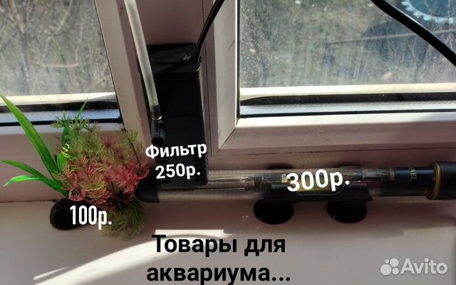 Товары для аквариума купить на Зозу.ру - фотография № 1