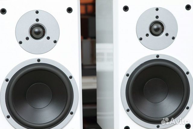 dynaudio excite x16