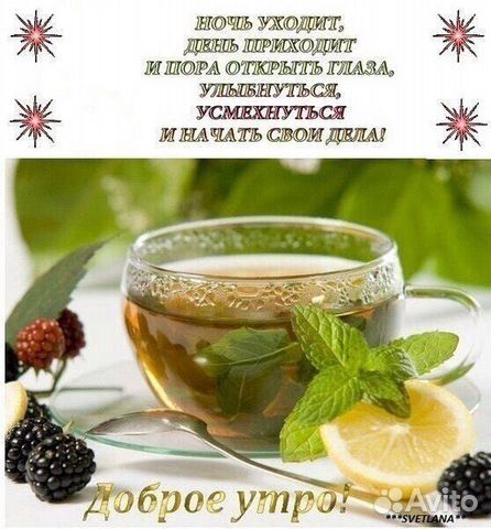 Яйцо, творог, сметана, сыр, козье молоко
