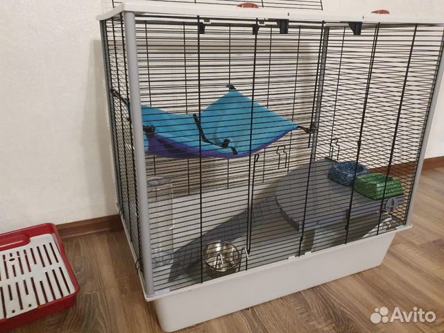 Клетка