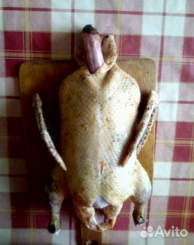 Мясо индоутки