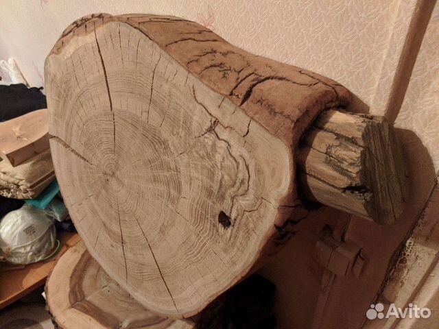 Спил дуба торцевой