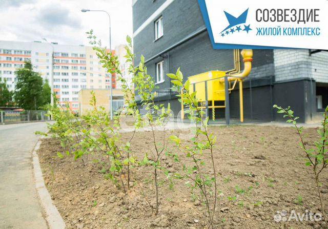 1-к квартира, 31.6 м², 9/10 эт.